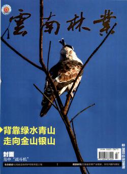 云南林业期刊